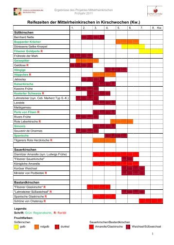 Reifezeiten der Mittelrheinkirschen in Kirschwochen (Kw.) - DLR