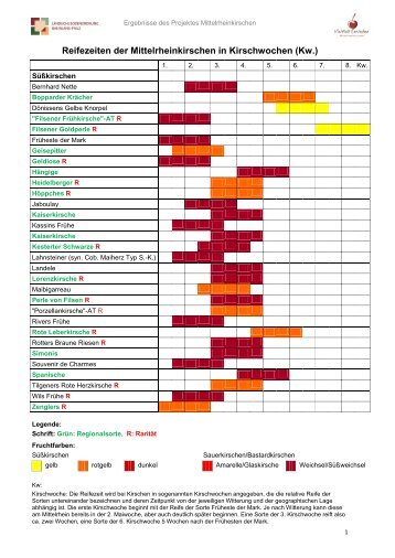 Reifezeiten der Mittelrheinkirschen in Kirschwochen (Kw.)