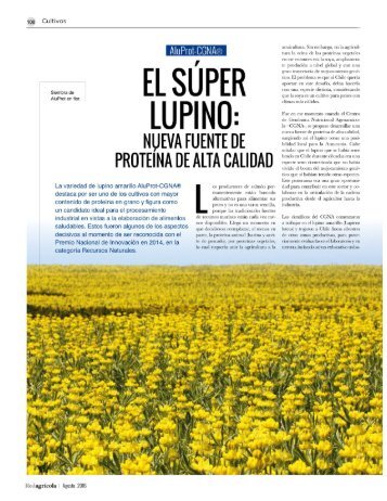 Redagrícola Chile: AluProt-CGNA El súper lupino nueva fuente de proteína de alta calidad.