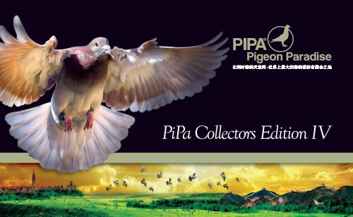 Pipa Collectors Edition IV Chinese