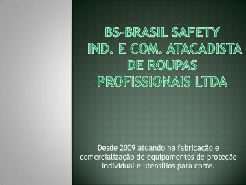 BS-BRASIL SAFETY portifolio