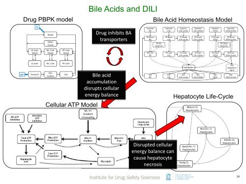 Understanding and predicting dose dependent and idiosyncratic events