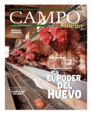 El huevo alto en omega 3 que promete revolucionar el mercado - Campo Sureño