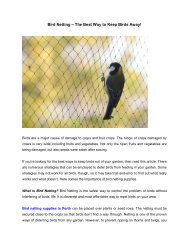 Bird Netting – The Best Way to Keep Birds Away!