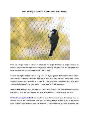 Bird Netting – The Best Way to Keep Birds Away!