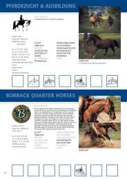 PFERDEZUCHT & AUSBILDUNG BORRACK QUARTER HORSES