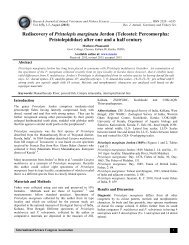 Rediscovery of Pristolepis marginata