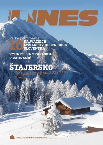 In Drive Magazin Slovak Lines 1/2017