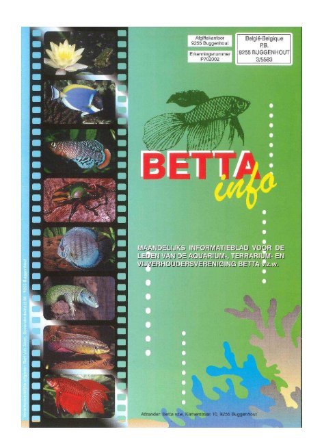 2017 - 01 - Betta-Info