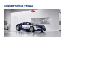 EX3 Bugatti Veyron Vitesse Fin