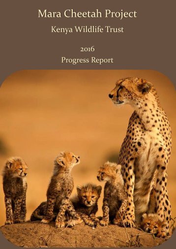 KWT Mara Cheetah Project - Annual report 2016