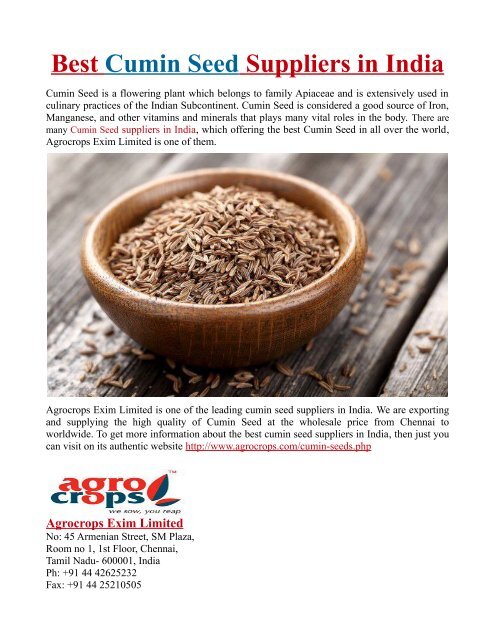 Best Cumin Seed Suppliers In India