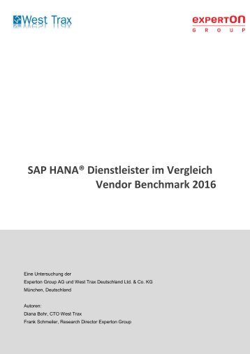 Auszug aus dem Experton SAP HANA Vendor Benchmark 2016