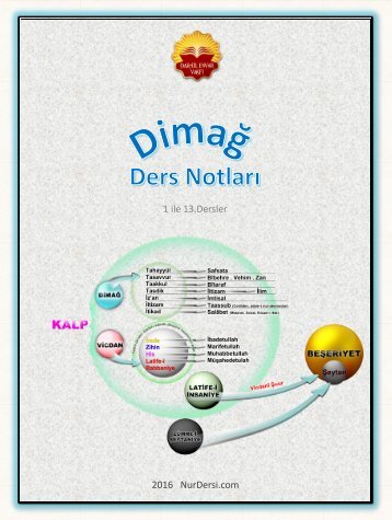 Dimağ Ders Notları