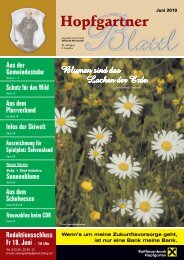 Ausgabe Juni 2010 (9,69 MB) - Gemeinde Hopfgarten - Land Tirol