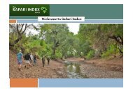 Welcome to Safari Index