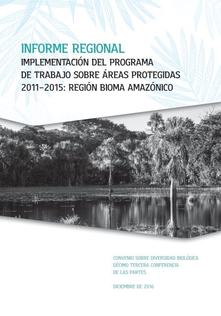 INFORME REGIONAL