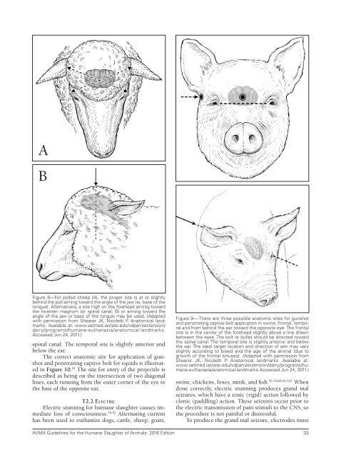 Humane-Slaughter-Guidelines