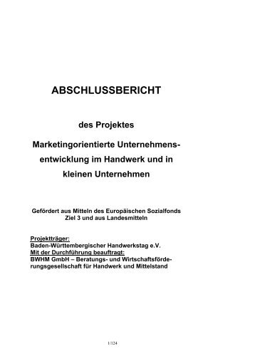 Abschlussbericht Marketing-Offensive - Baden-Württembergischer ...