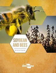 SOYBEAN and BEES