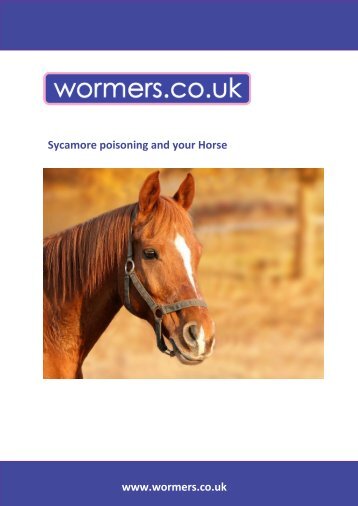 Sycamore poisoning and your Horse