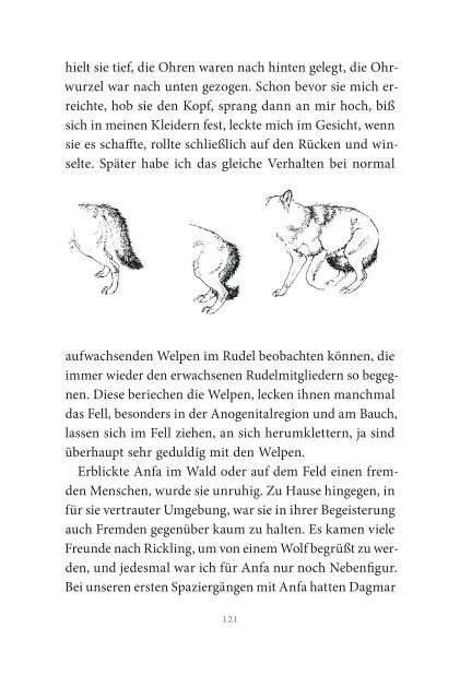 Der Wolf Verhalten, Ökologie und Mythos