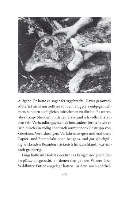 Der Wolf Verhalten, Ökologie und Mythos