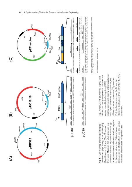 Industrial Biotransformations