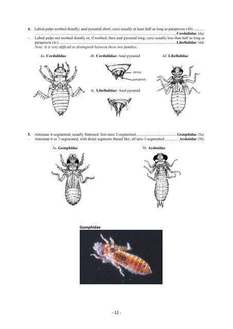 Guide riffle invertebrates Australian Wet Tropics streams