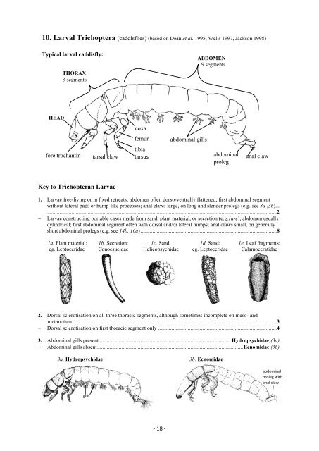 Guide riffle invertebrates Australian Wet Tropics streams