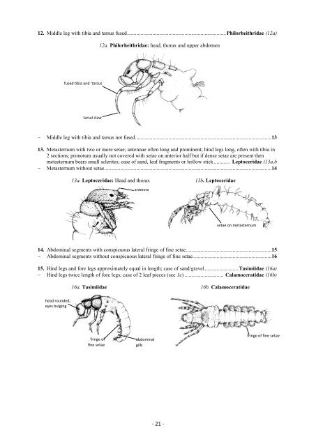 Guide riffle invertebrates Australian Wet Tropics streams