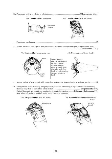 Guide riffle invertebrates Australian Wet Tropics streams