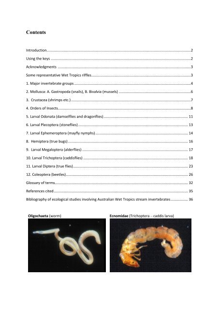 Guide riffle invertebrates Australian Wet Tropics streams