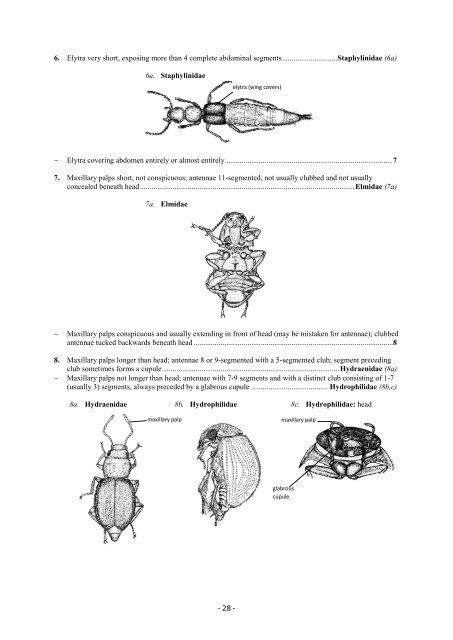 Guide riffle invertebrates Australian Wet Tropics streams