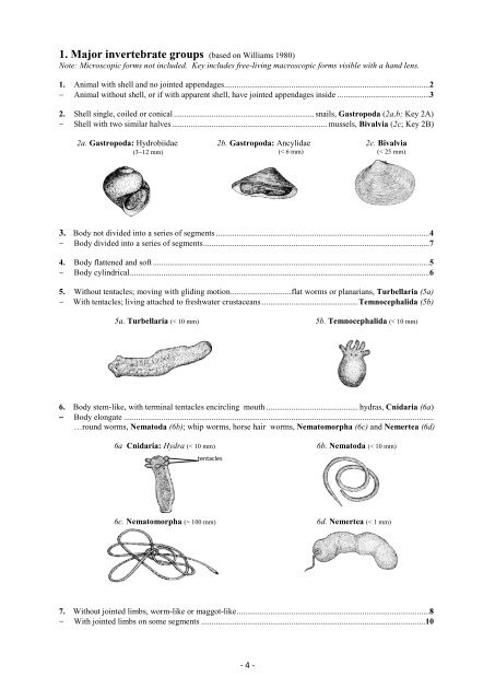 Guide riffle invertebrates Australian Wet Tropics streams