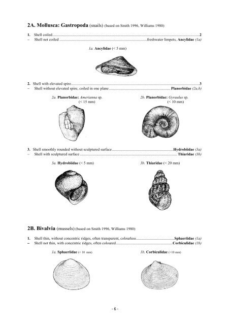 Guide riffle invertebrates Australian Wet Tropics streams