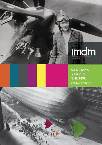 IMDM Sanlam Booklet