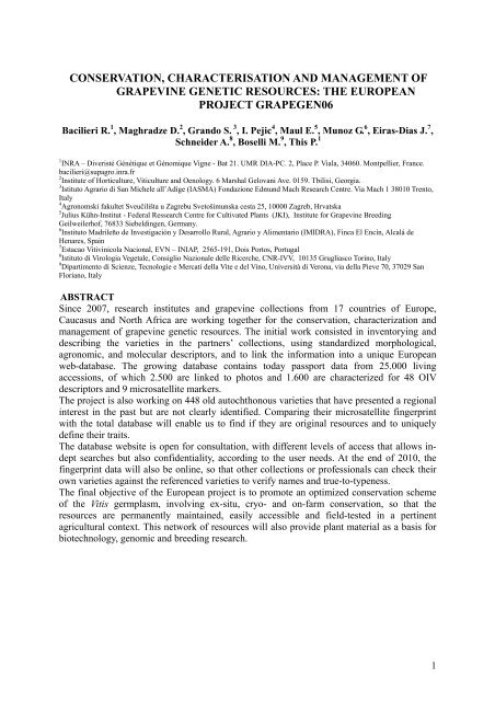 conservation, characterisation and management of grapevine genetic