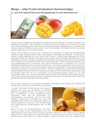 Mango - Zeitungsbericht aus DomRepTotal