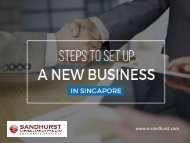 Establish Your New Business Company in Singapore