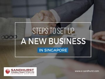Establish Your New Business Company in Singapore