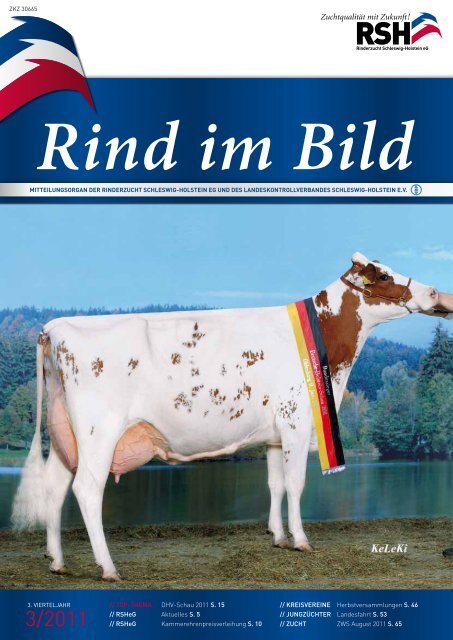 Rind Im Bild 3 2011 1 Rinderzucht Schleswig Holstein E G