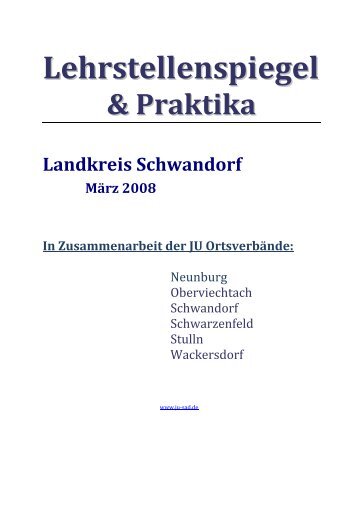 Lehrstellenspiegel & Praktika Landkreis Schwandorf März 2008 In ...
