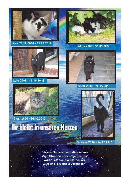 Ausgabe 10