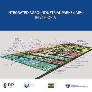 INTEGRATED AGRO-INDUSTRIAL PARKS (IAIPs) IN ETHIOPIA