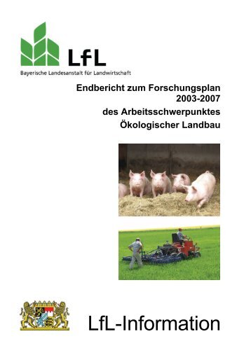 Endbericht zum Forschungsplan 2003-2007 des ...