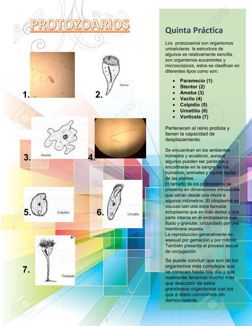 TRABAJO-EN-PDF