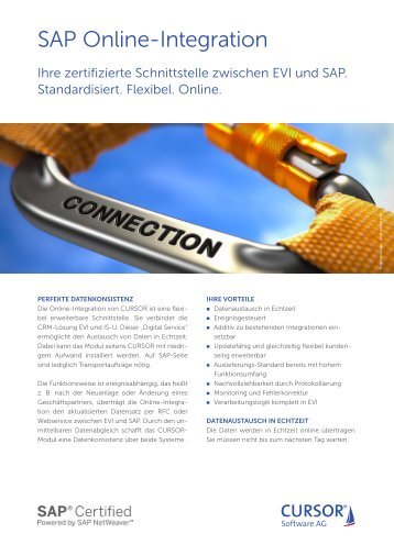 SAP Online-Integration