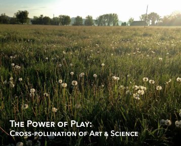 The Power of Play: Cross-Pollination of Art & Science