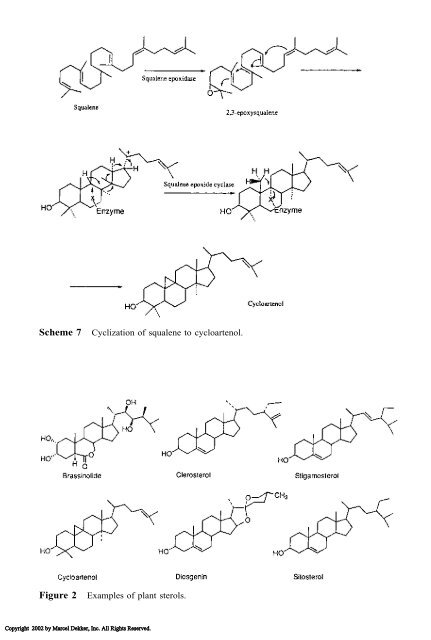 Food Lipids: Chemistry, Nutrition, and Biotechnology